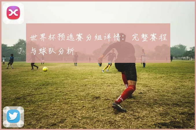 世界杯预选赛分组详情:完整赛程与球队分析