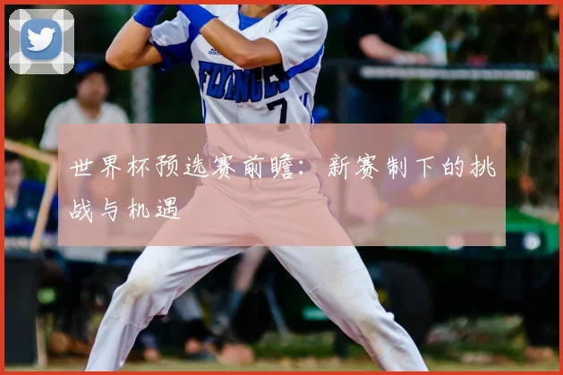 世界杯预选赛前瞻:新赛制下的挑战与机遇