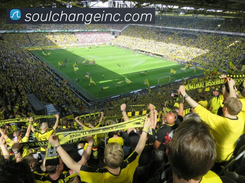 多媒体互动体验